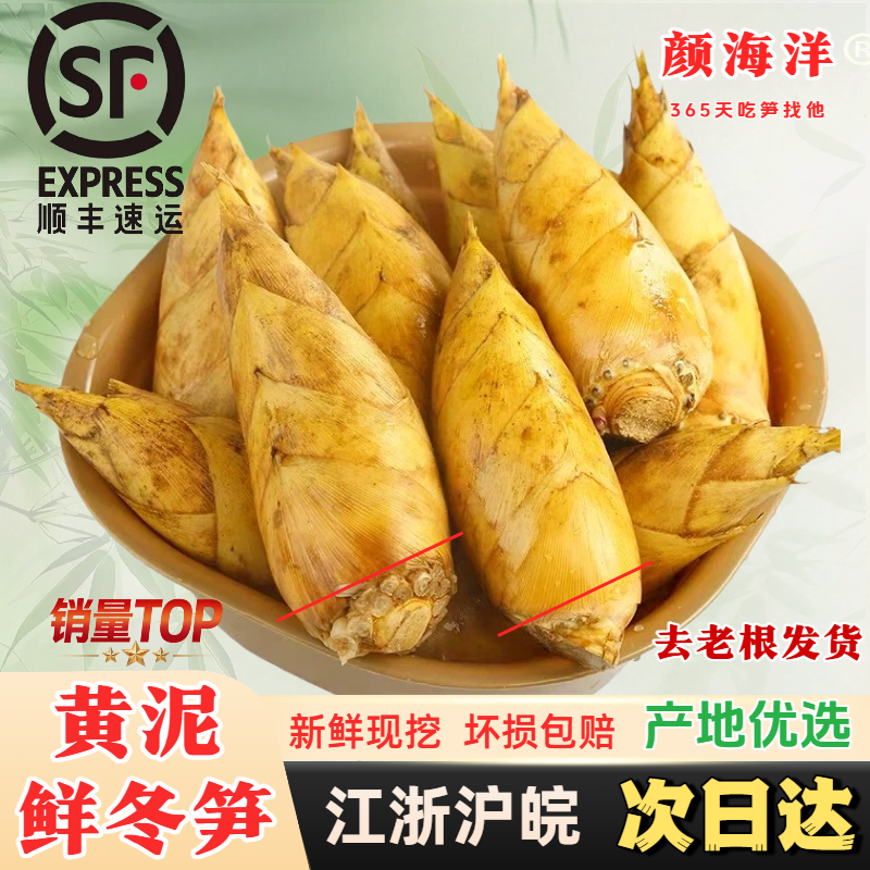 【年货冬笋】新鲜冬笋大楠竹大竹笋蔬菜火锅食材3斤/起囤货年味商品图