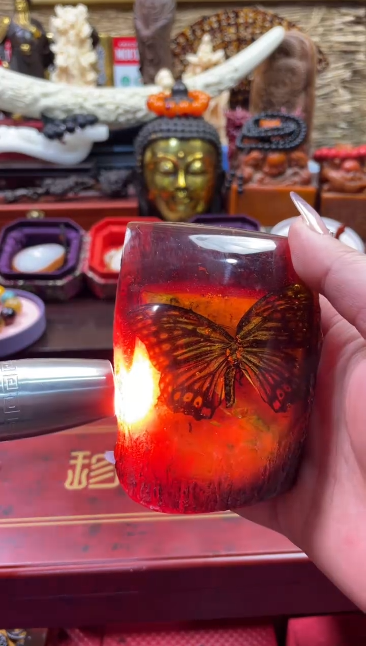 【闪购商品】一一一一一一蝴蝶
