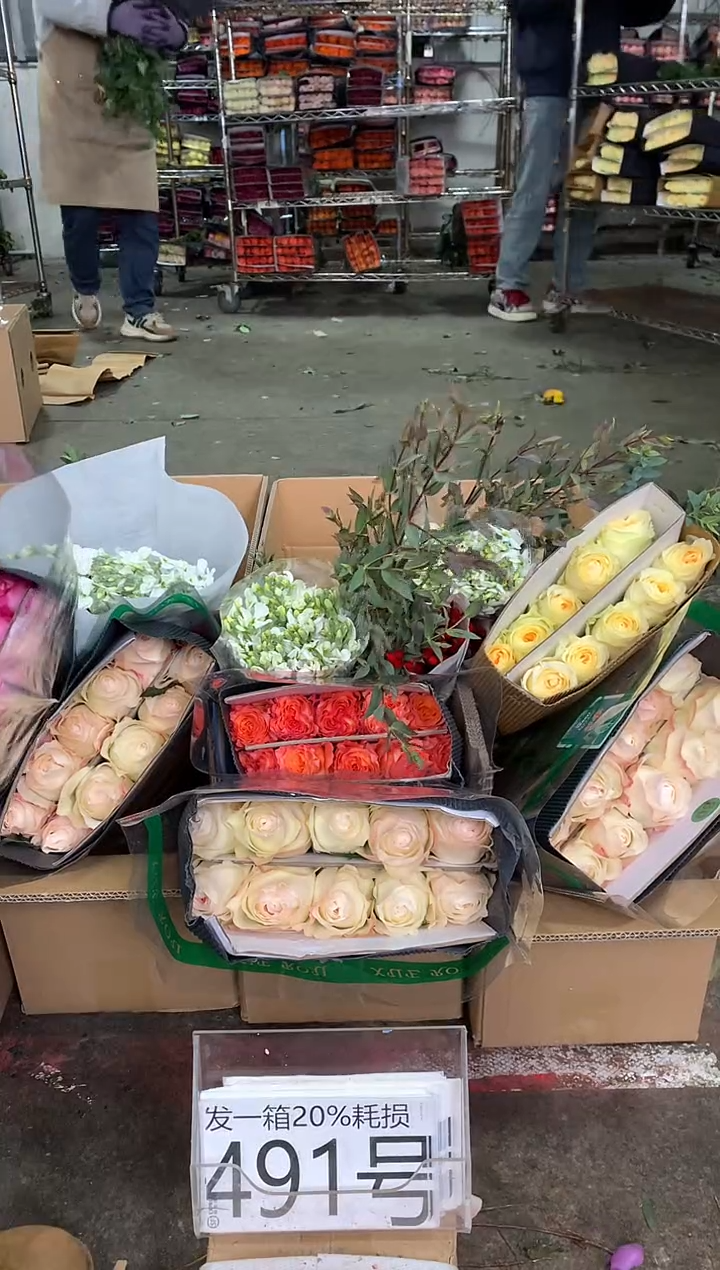 491号♥中通不指定随机颜色含20%耗损发一箱鲜花