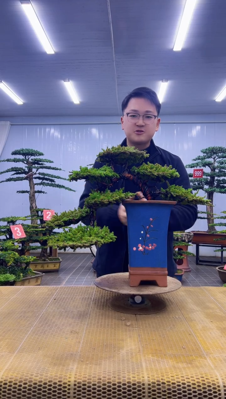 无花朵000000000000000000