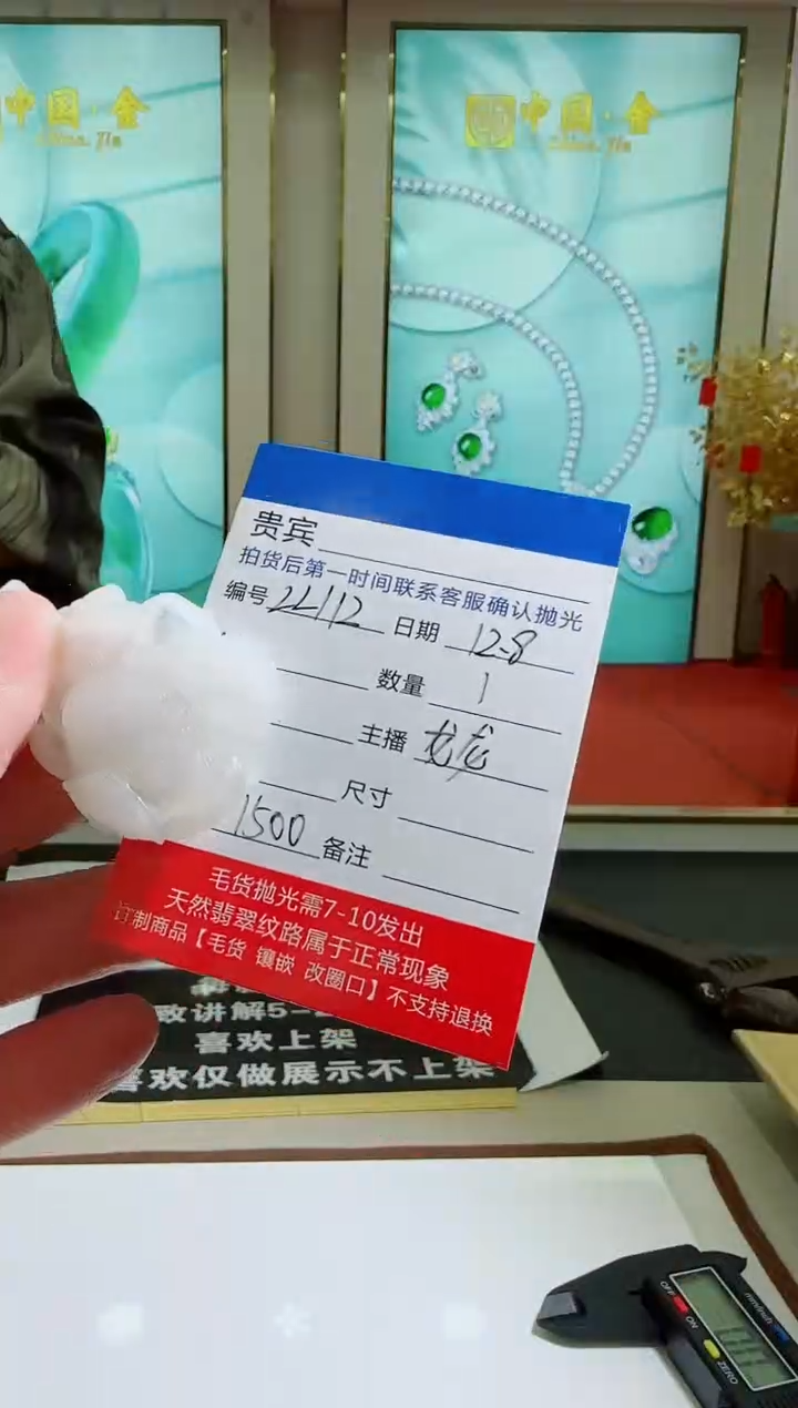 未镶嵌定制翡翠LL112翡翠吊坠-多样性发其一