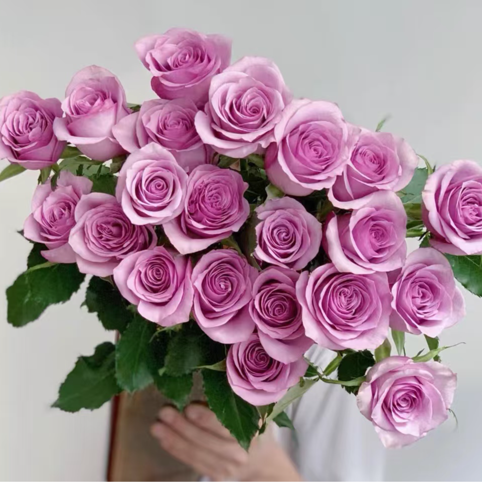 A5【紫玫瑰+情迷罗拉+风铃+百合+洋桔梗】一单顺丰云南基地鲜切花 