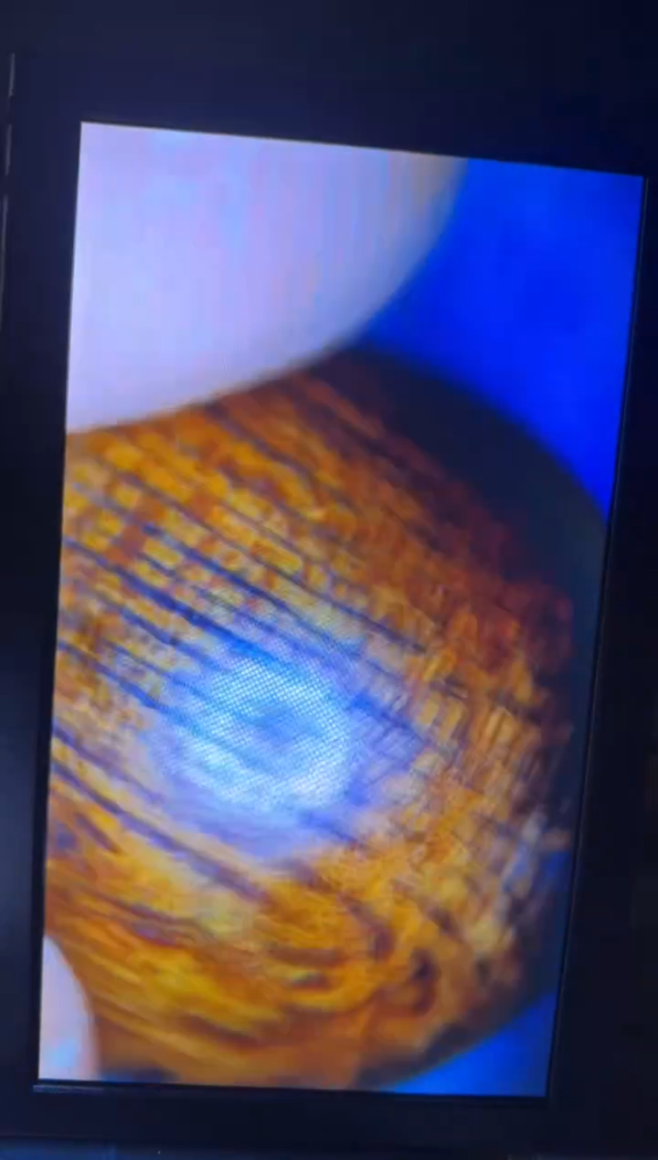 【闪购商品】文莱文莱文莱文莱