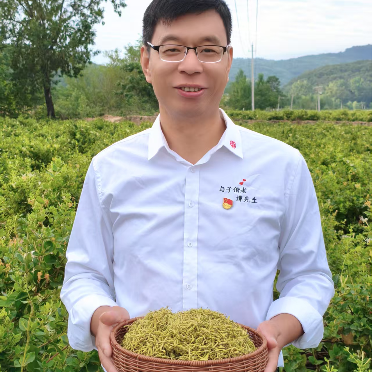 [书记助农]  正宗金银花干货茶叶新货金银花泡水罐装花草茶   