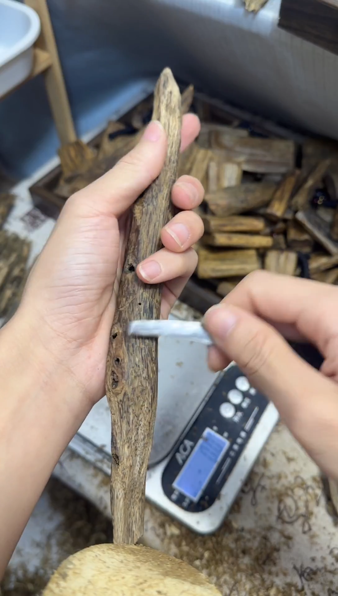 沉香沉香碎屑海南白棋