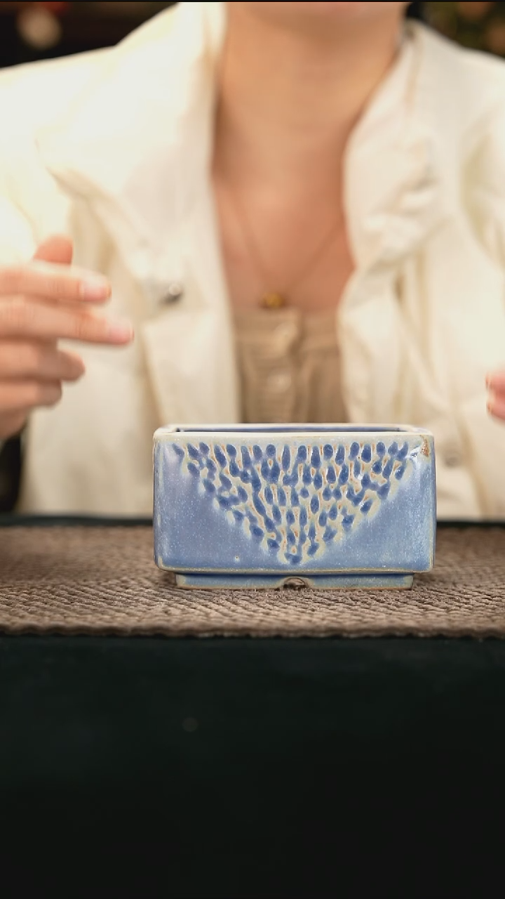 12-25-003花盆口径10