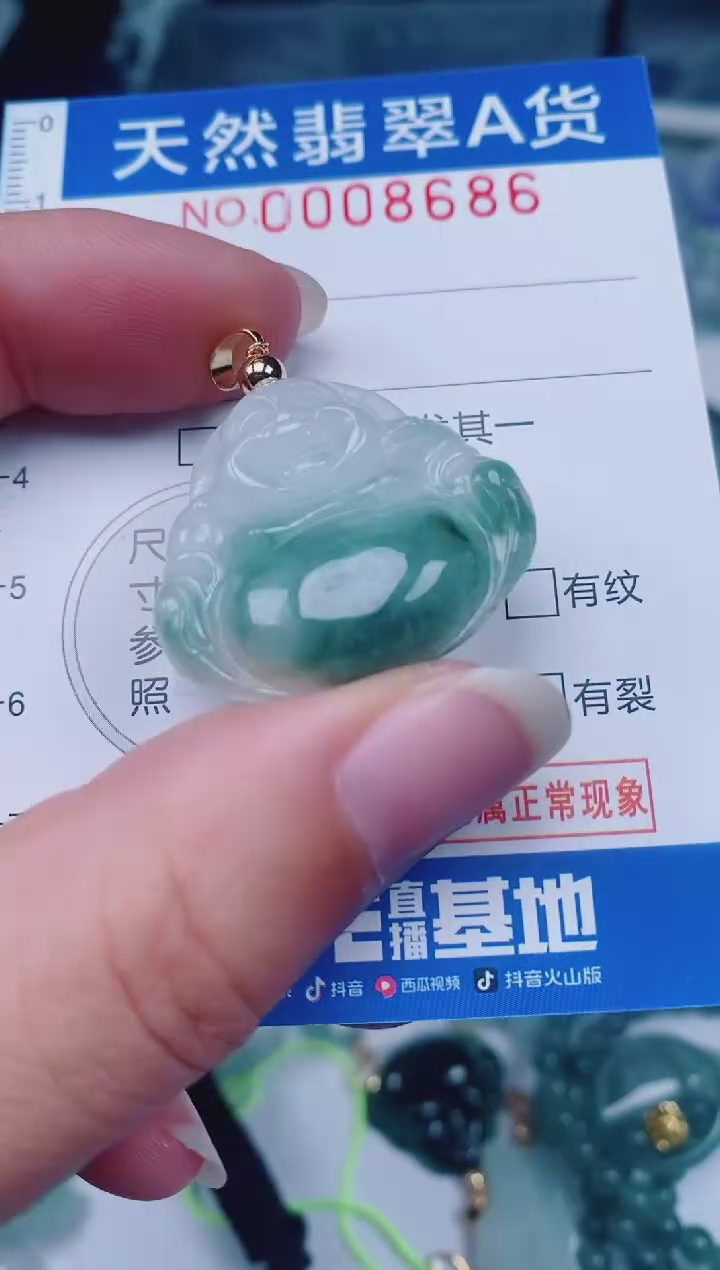 颈饰未镶嵌翡翠00008686