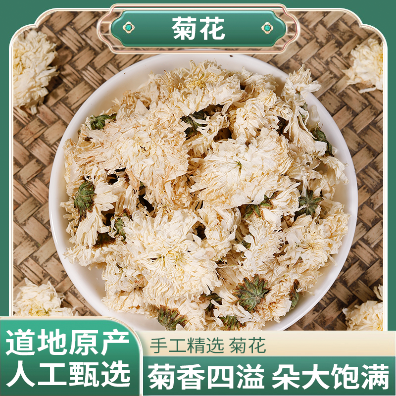 正宗精选好货【野菊花】