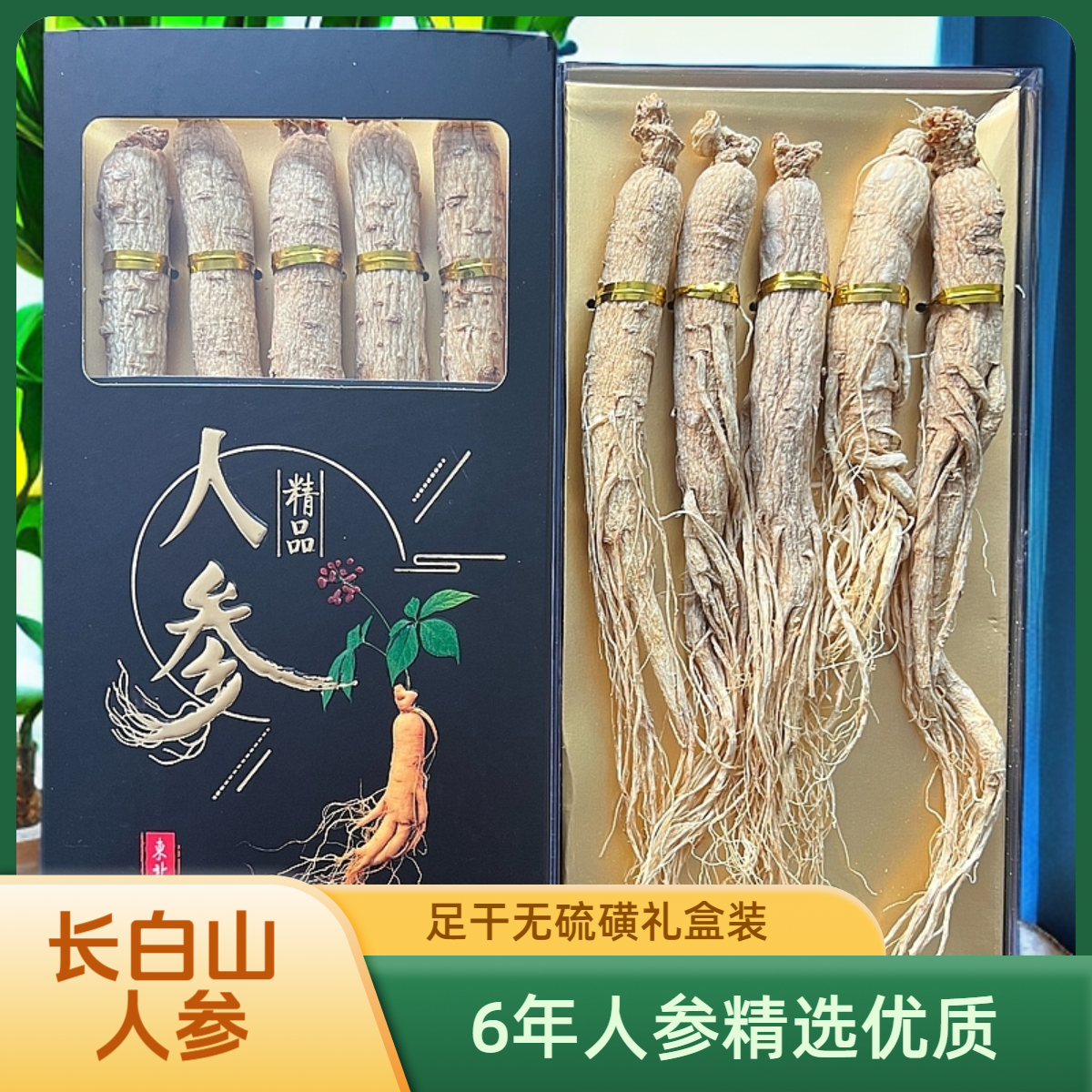 长白山人参白参生晒参足干无糖无硫磺下山货东北特产康养新农人