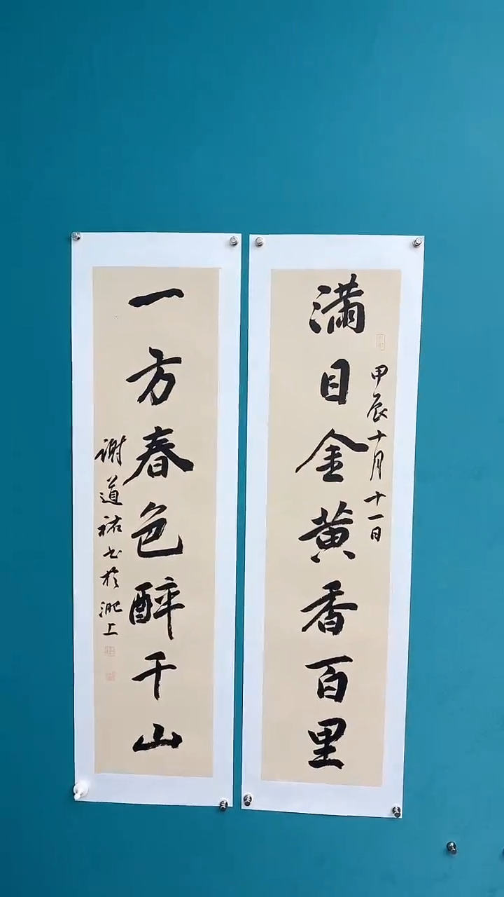 【闪购商品】谢老师传统艺术年画满日对联