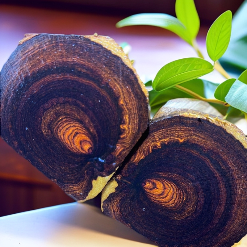 鬼脸对眼黄花梨老油梨蜘蛛手工复古创意加厚茶道圆形壶垫陶瓷手绘