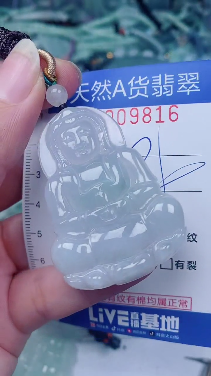 翡翠未镶嵌颈饰00009816