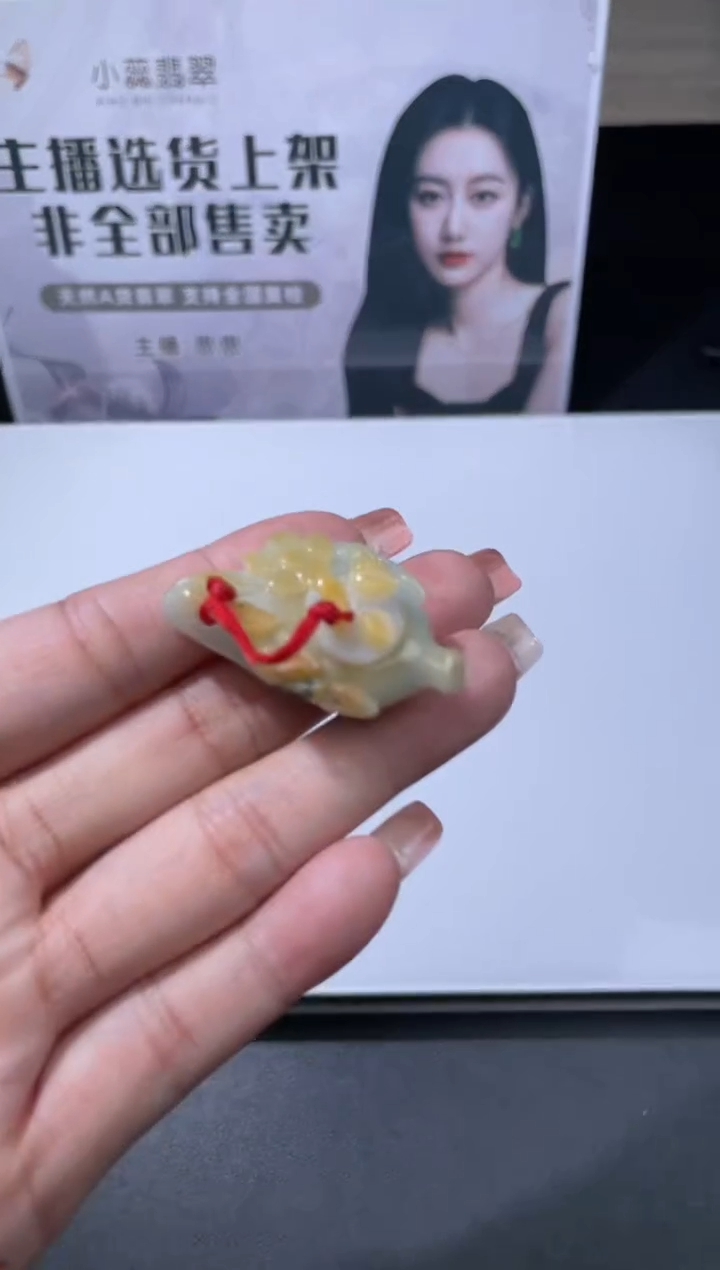 【闪购商品】定制翡翠未镶嵌不退不换CMH1件-A