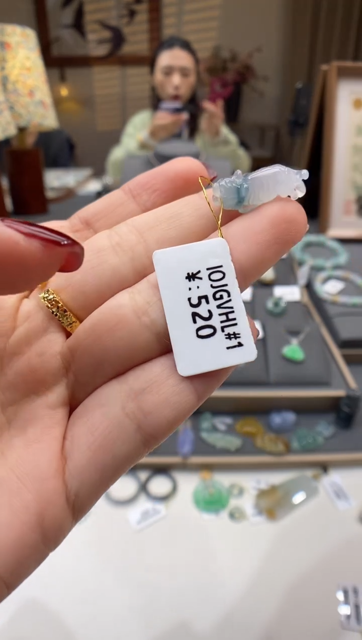 【闪购商品】翡翠颈饰未镶嵌老虎