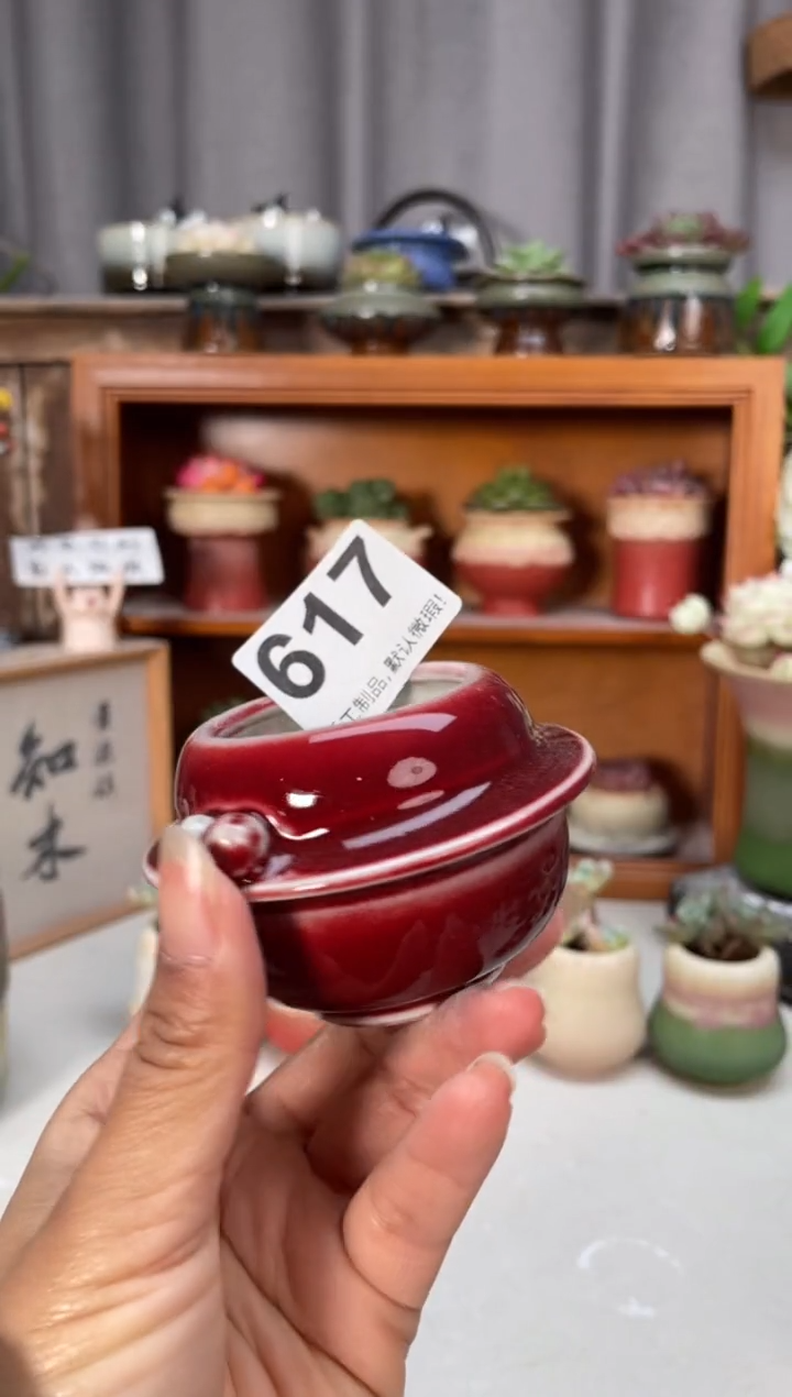 瓷片617小芳直播编号