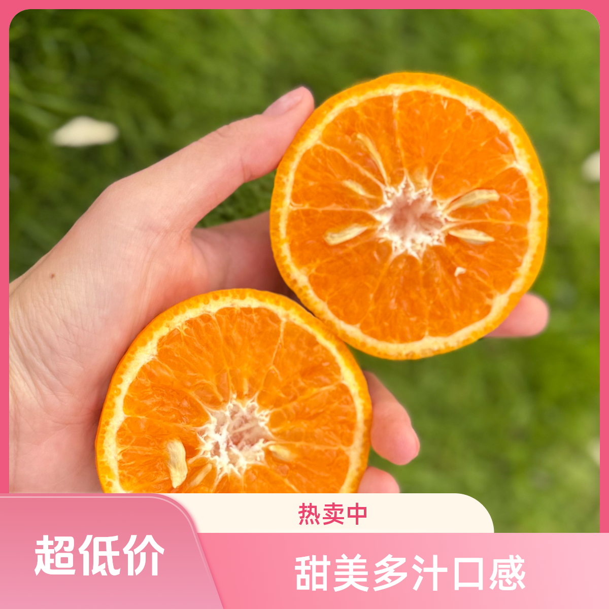 云南沃柑水果同城配送500g云南省