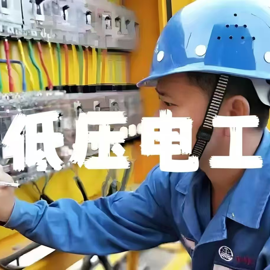 抖音特惠--低压电工