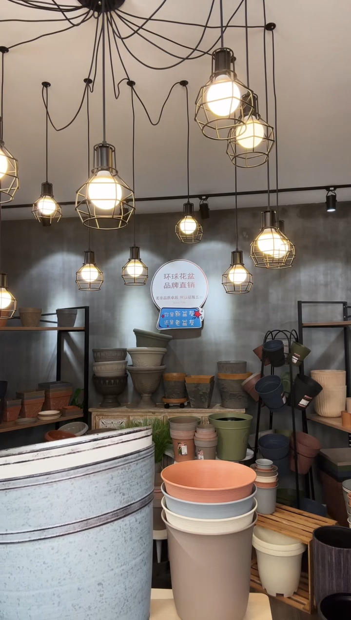 【闪购商品】塑料10.7寸罗斯玛丽铁皮色10只装