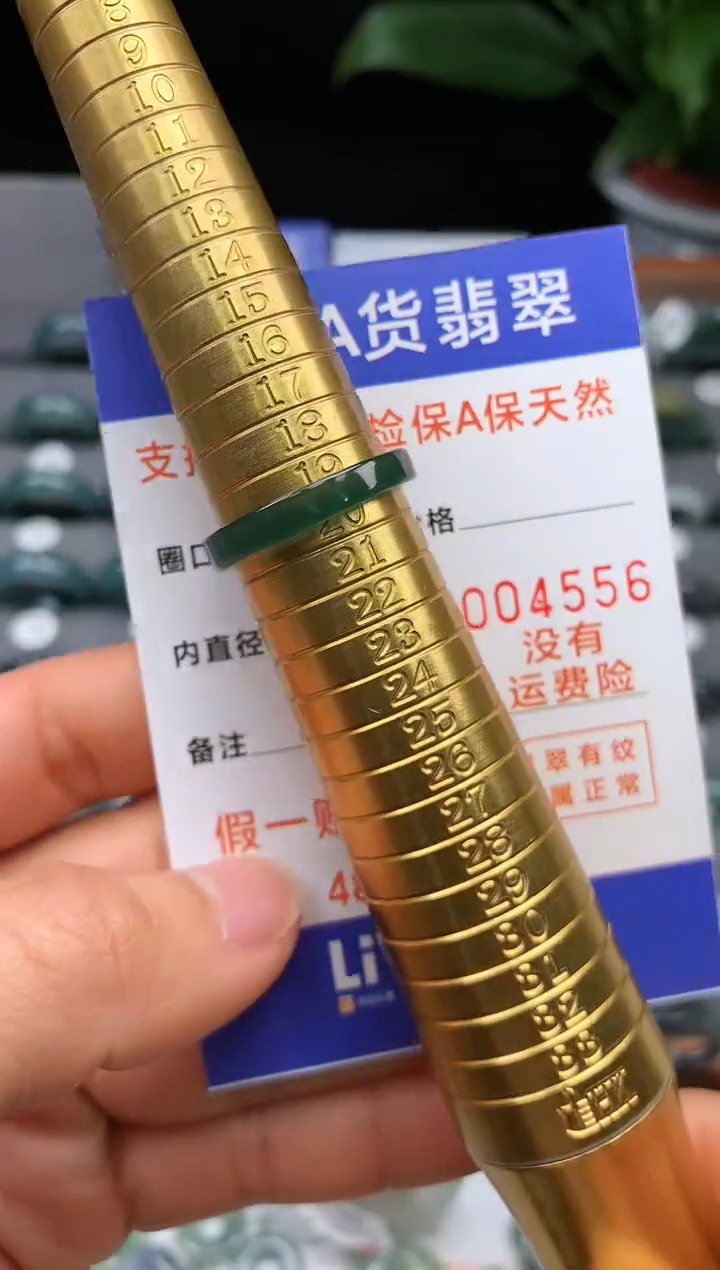【闪购商品】翡翠戒指未镶嵌19-20号圈口4556