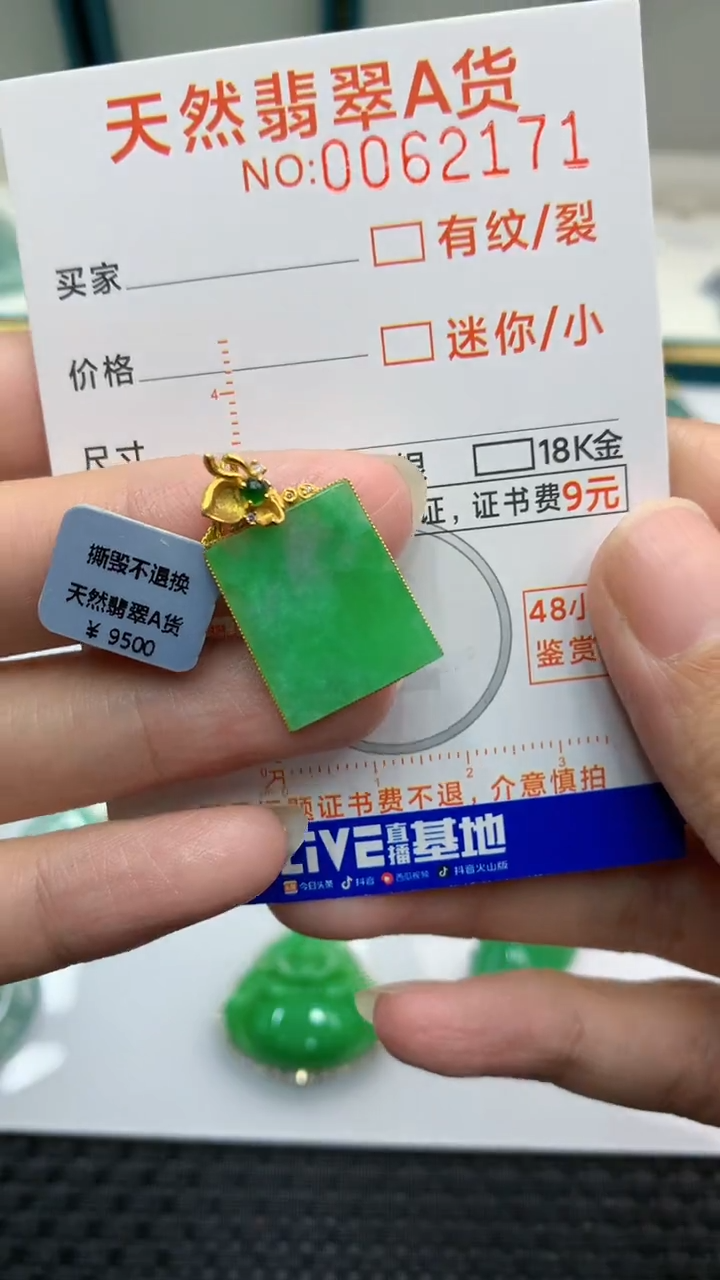 【闪购商品】翡翠颈饰18K金镶嵌            8