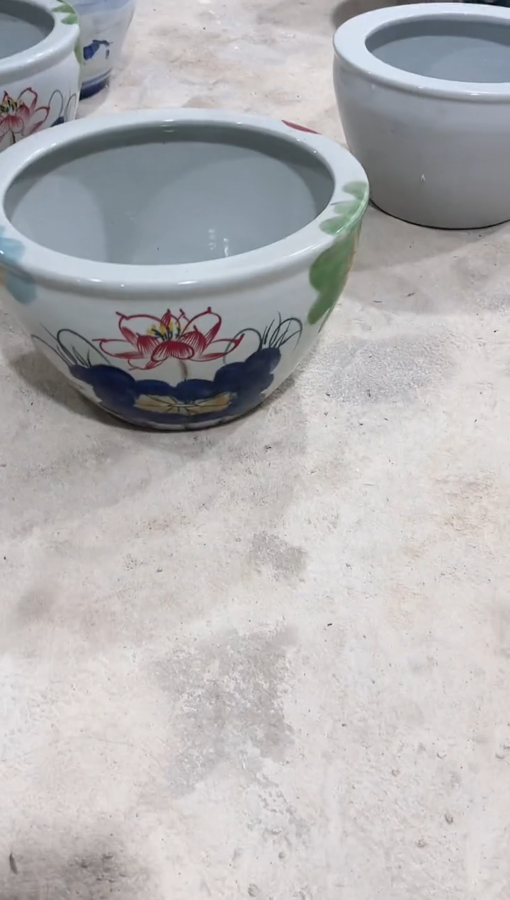 缸快****✘40直径秋韵荷花缸