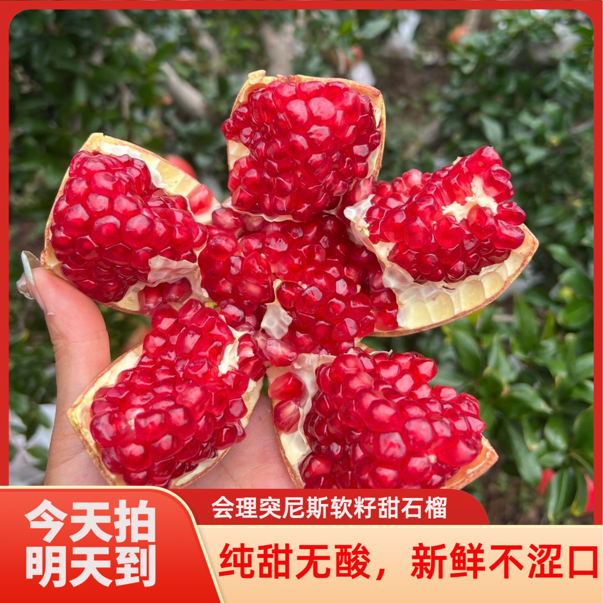 四川大凉山会理突尼斯软籽石榴红心甜石榴当季新鲜水果5斤装8.28四川省