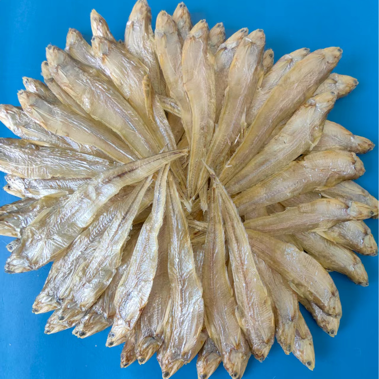 实惠优质大条毛鱼（9-14公分）