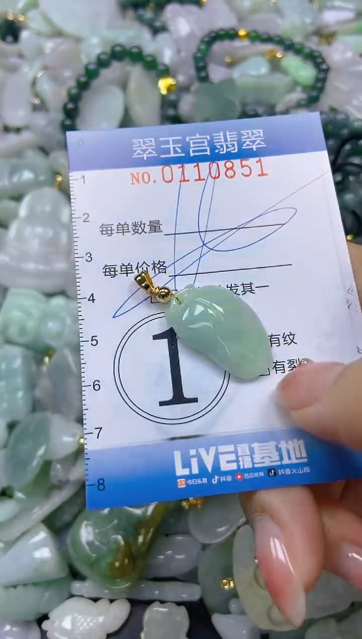 翡翠未镶嵌颈饰闪购0110851