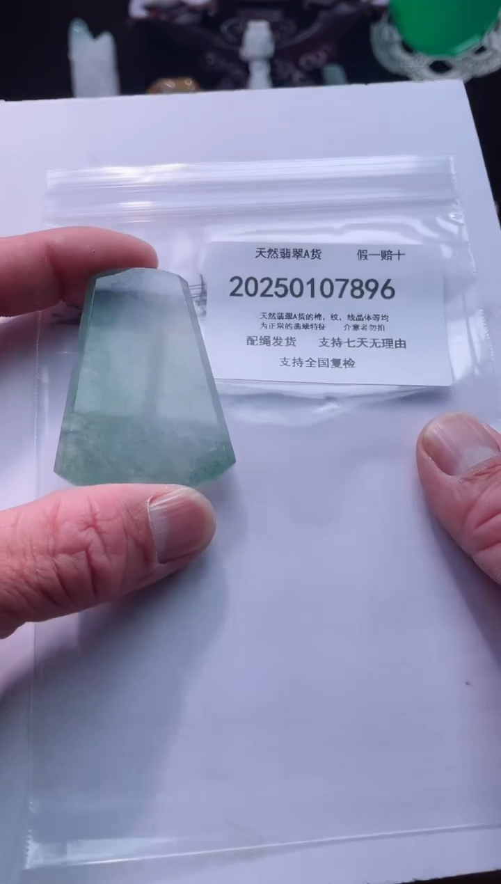 【闪购商品】翡翠颈饰未镶嵌闪购商品8号店200250010026