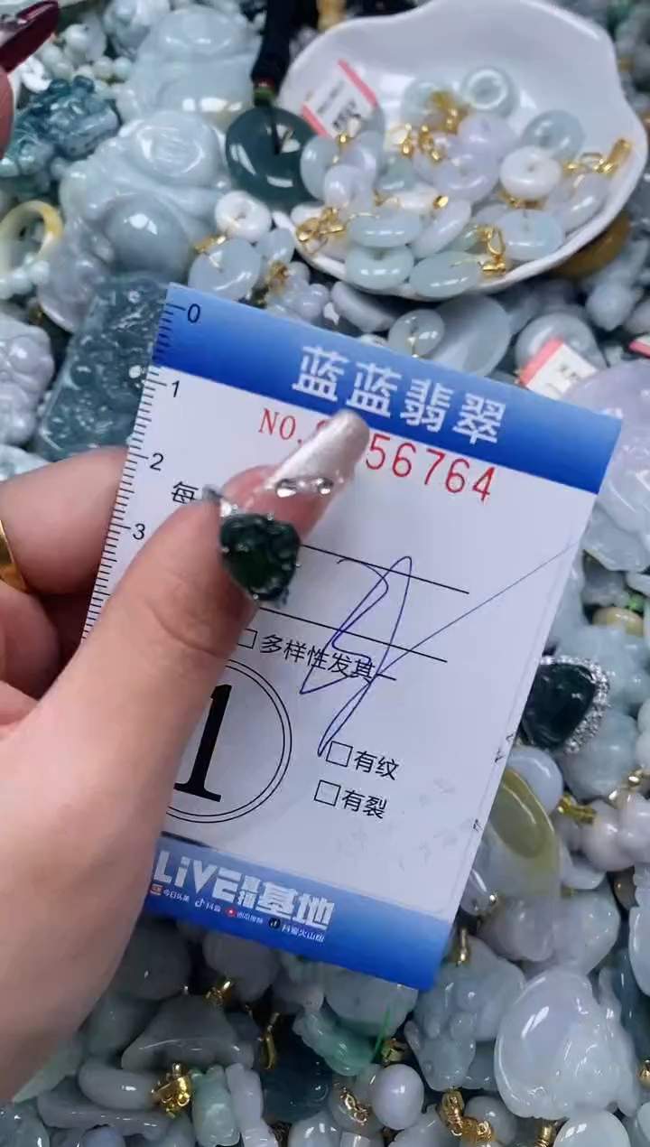 【闪购商品】翡翠颈饰未镶嵌闪购0156764