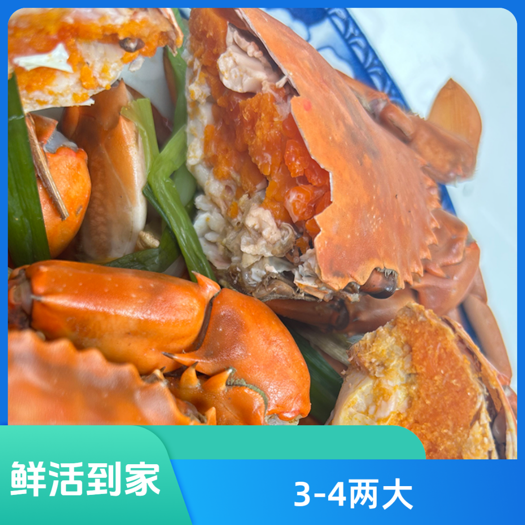 C【3-4两/只】【买3只在送1只】青蟹 大螃蟹 顺丰冷链到家 母蟹 3-4两/只 红膏青蟹