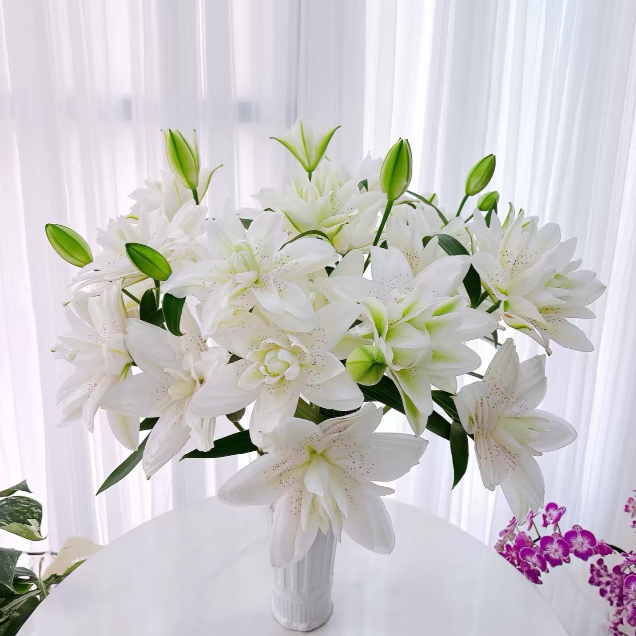 【独鬏鬏优选】A级鲜花 [阳光冬韵] 重瓣百合 瓶插鲜切花 顺丰直发