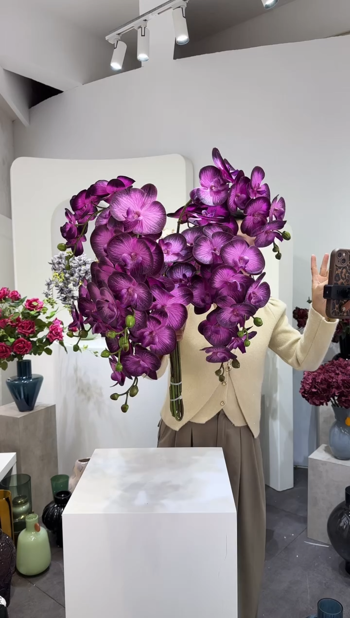 【闪购商品】藤12支玫紫蝴蝶兰