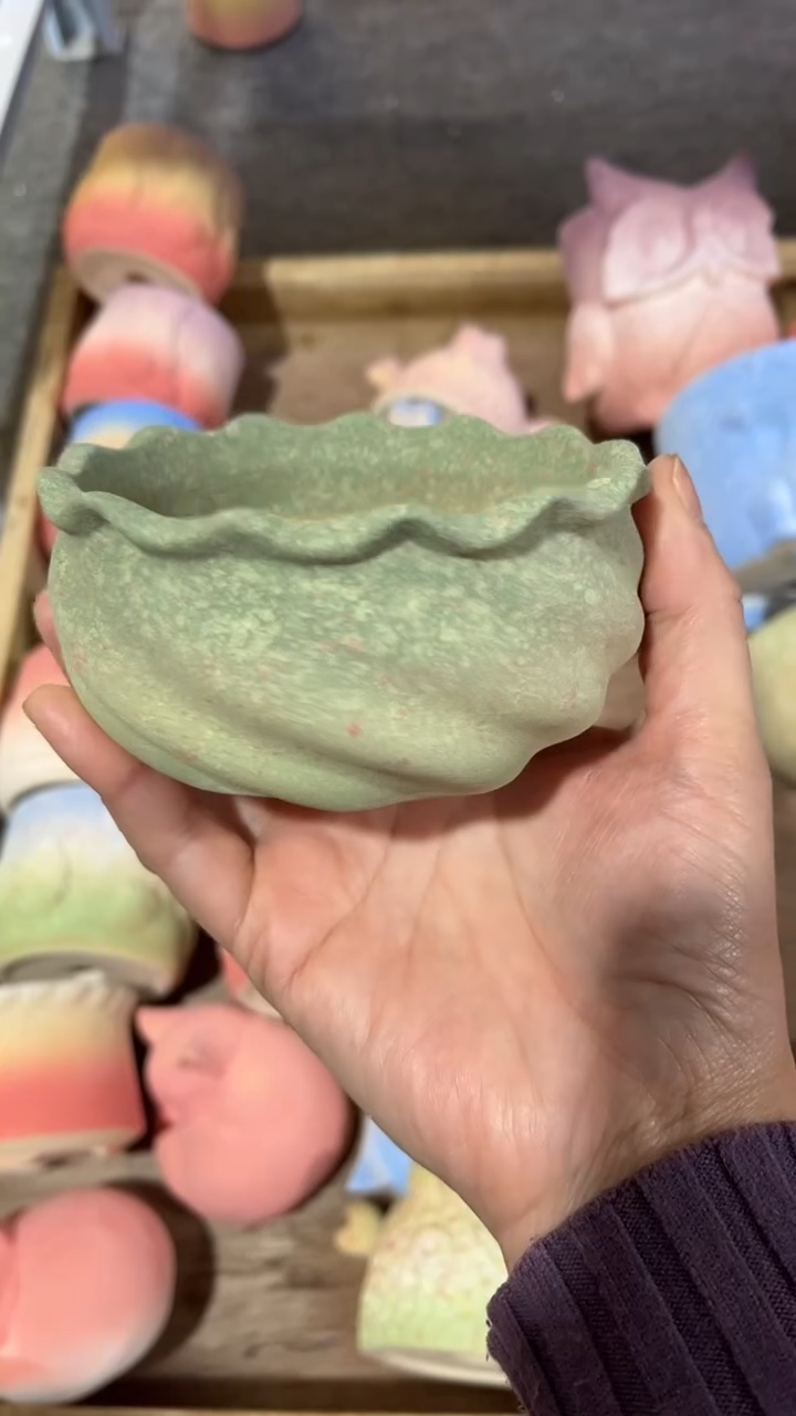 【闪购商品】陶内口  9  内高5