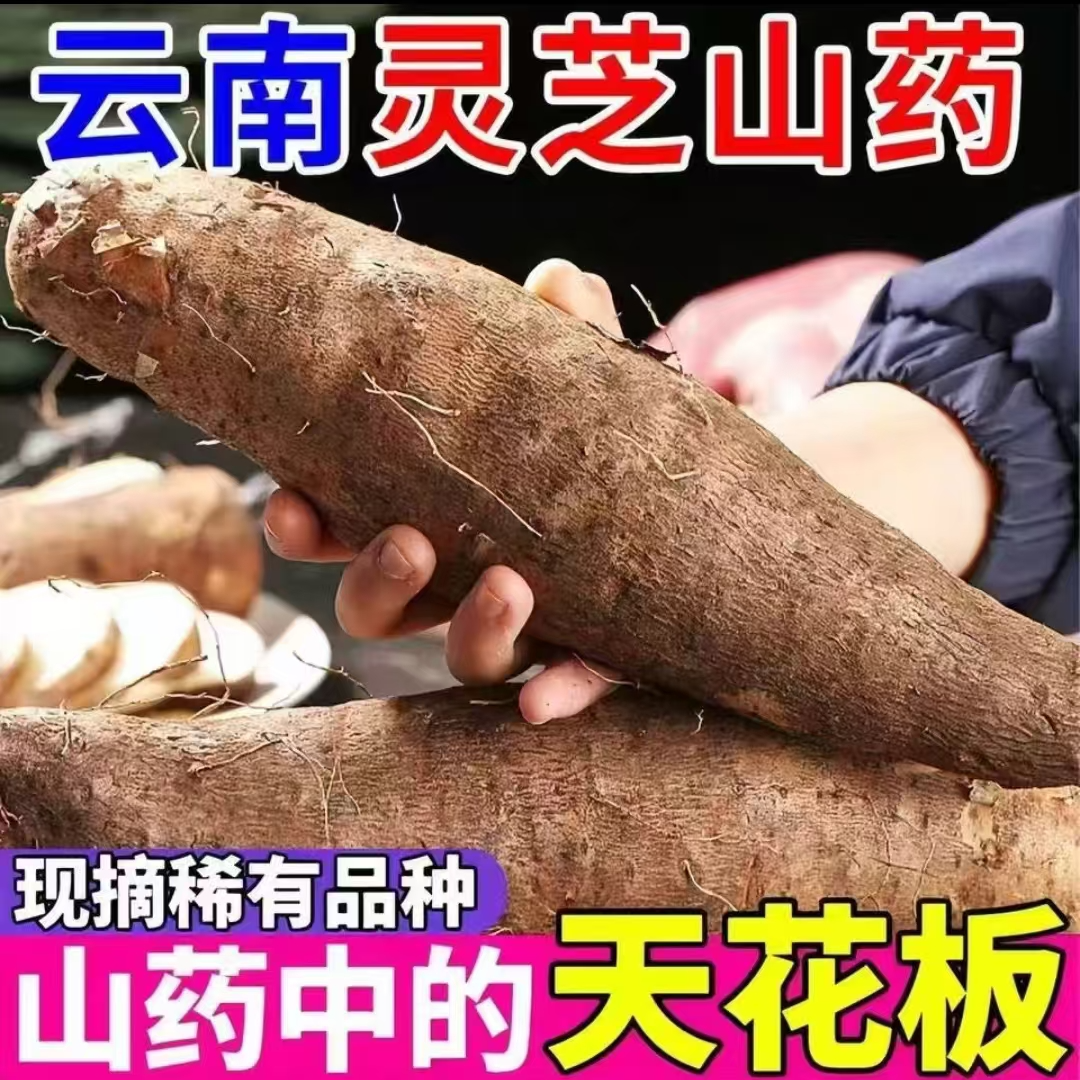 [灵芝山药]云南高山红土地山药软糯香甜、粉面沙香