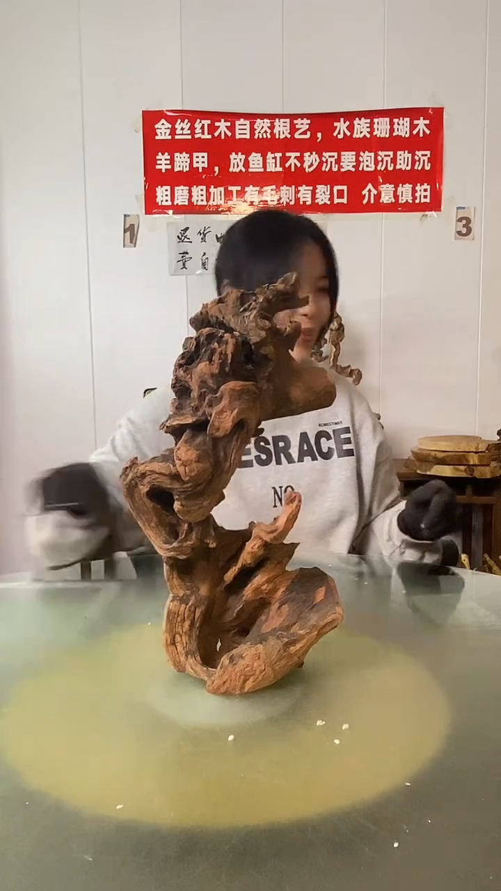 木嗨*金丝红木  羊蹄甲