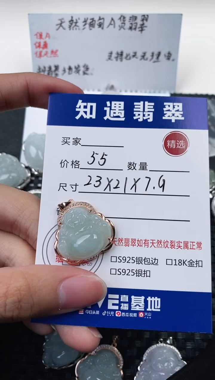 翡翠银S925镶嵌颈饰挂件