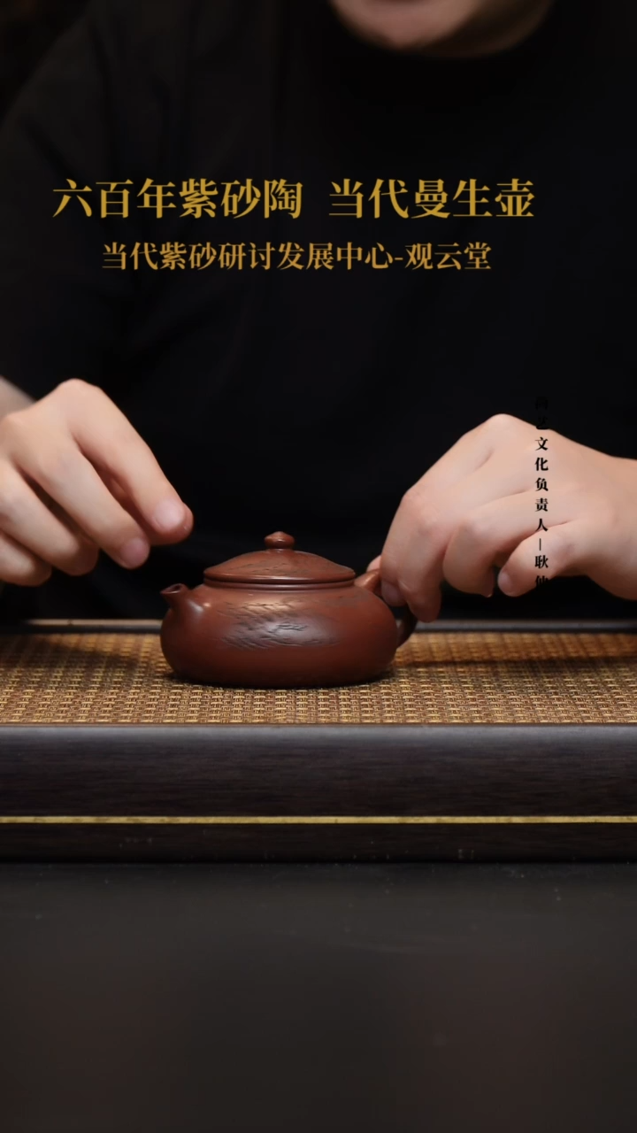 茶壶紫砂宜兴紫砂壶寒江