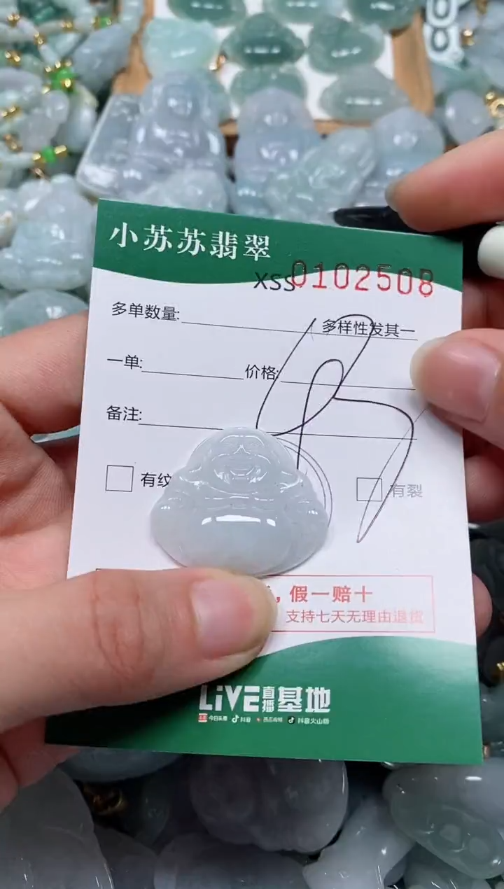 【闪购商品】翡翠颈饰未镶嵌闪购商品0102508