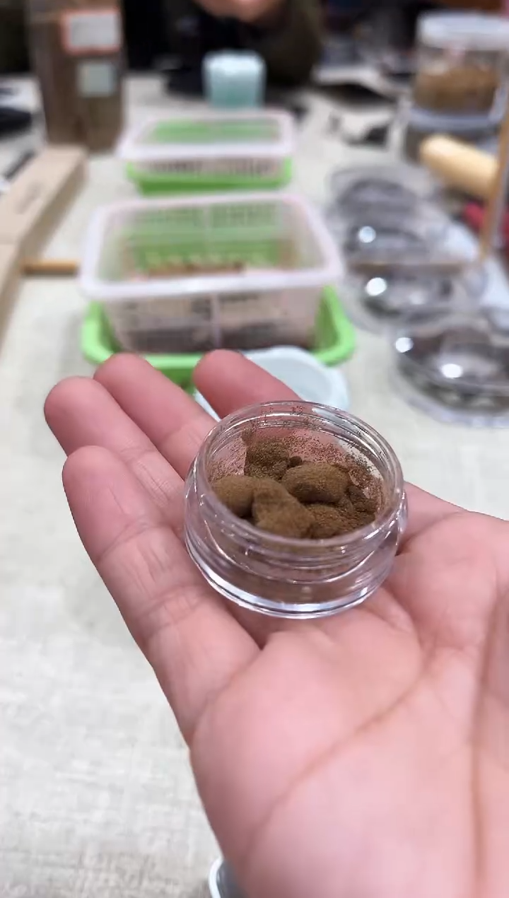 【闪购商品】沉香沉香碎屑海南高货树心油棋韵研磨粉一份