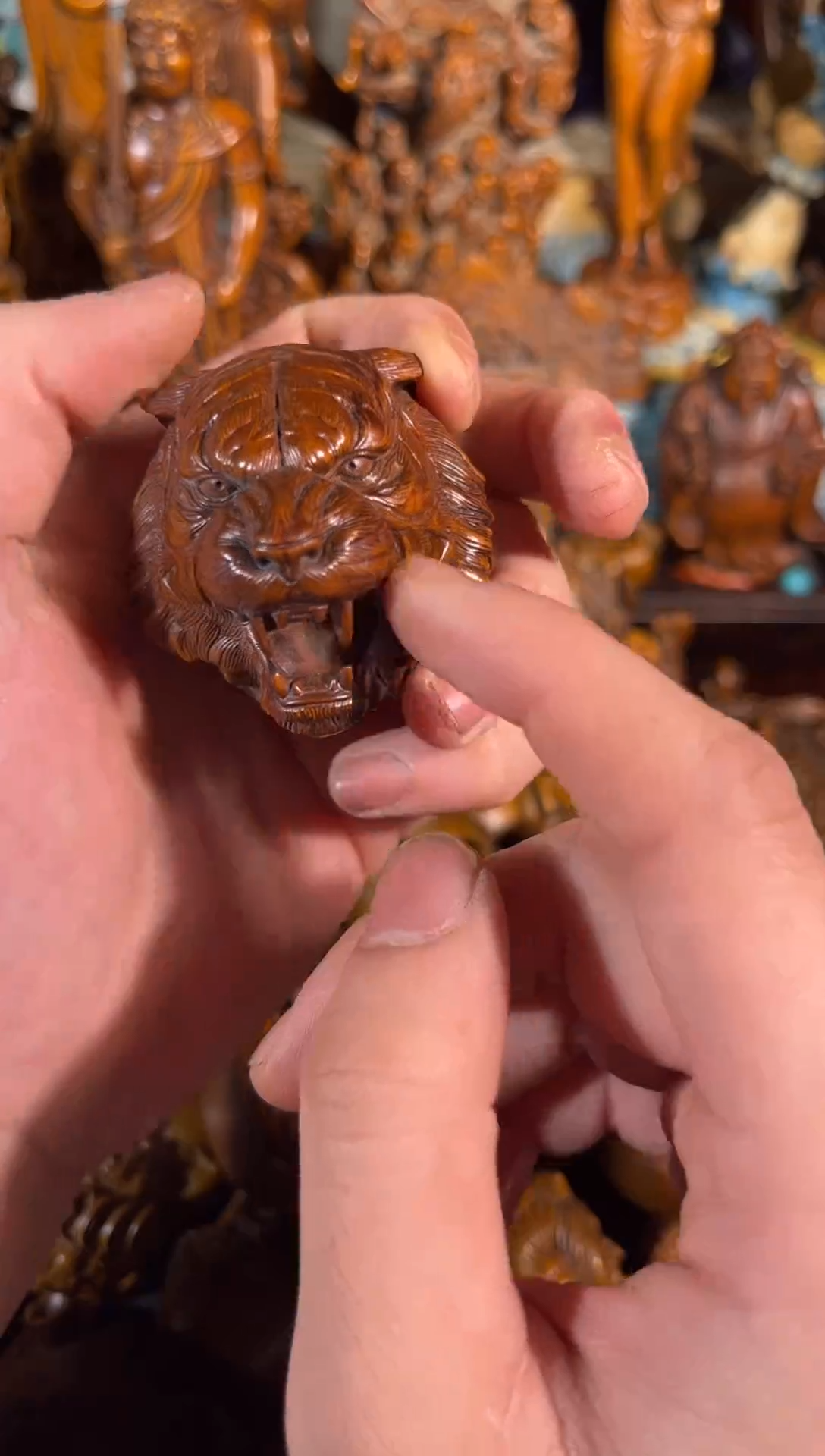 黄杨木111111111111