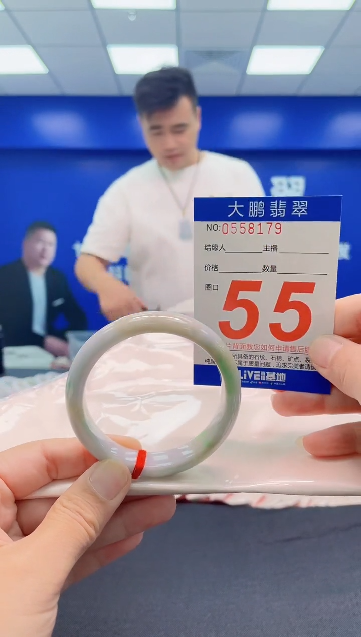 未镶嵌手镯翡翠AAAAAAAAA