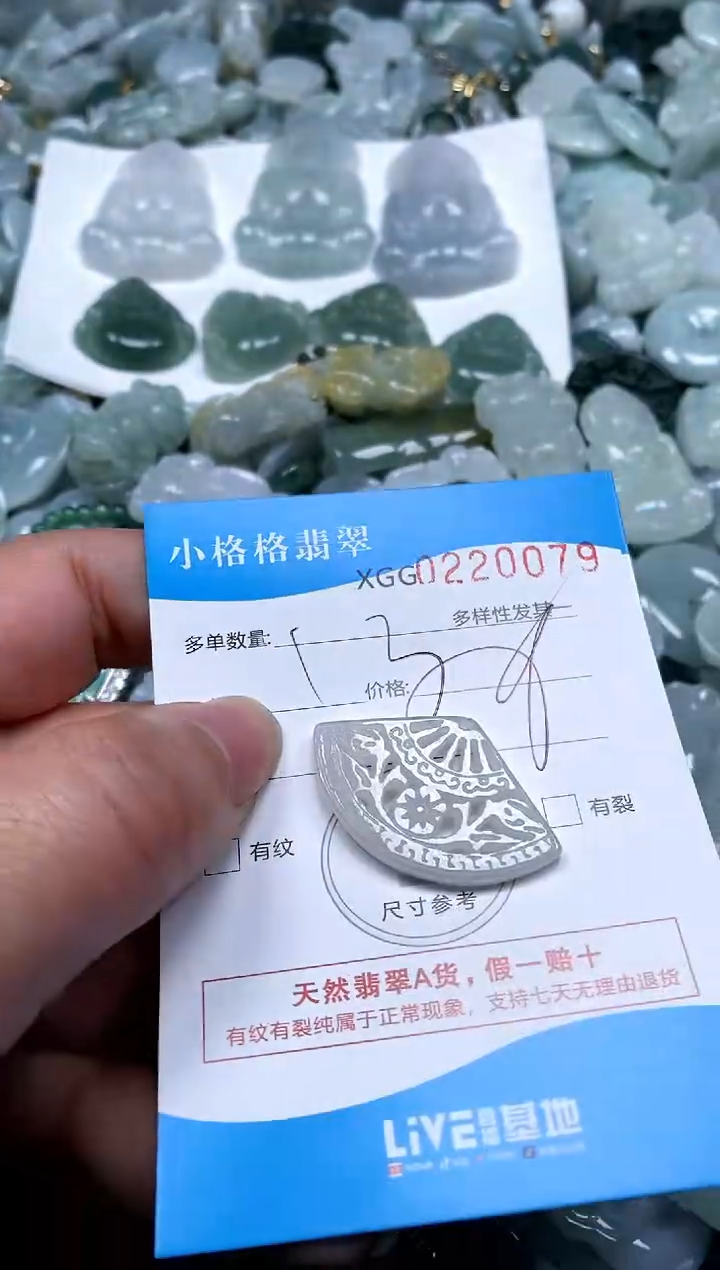 【闪购商品】翡翠颈饰未镶嵌闪购商品0220079