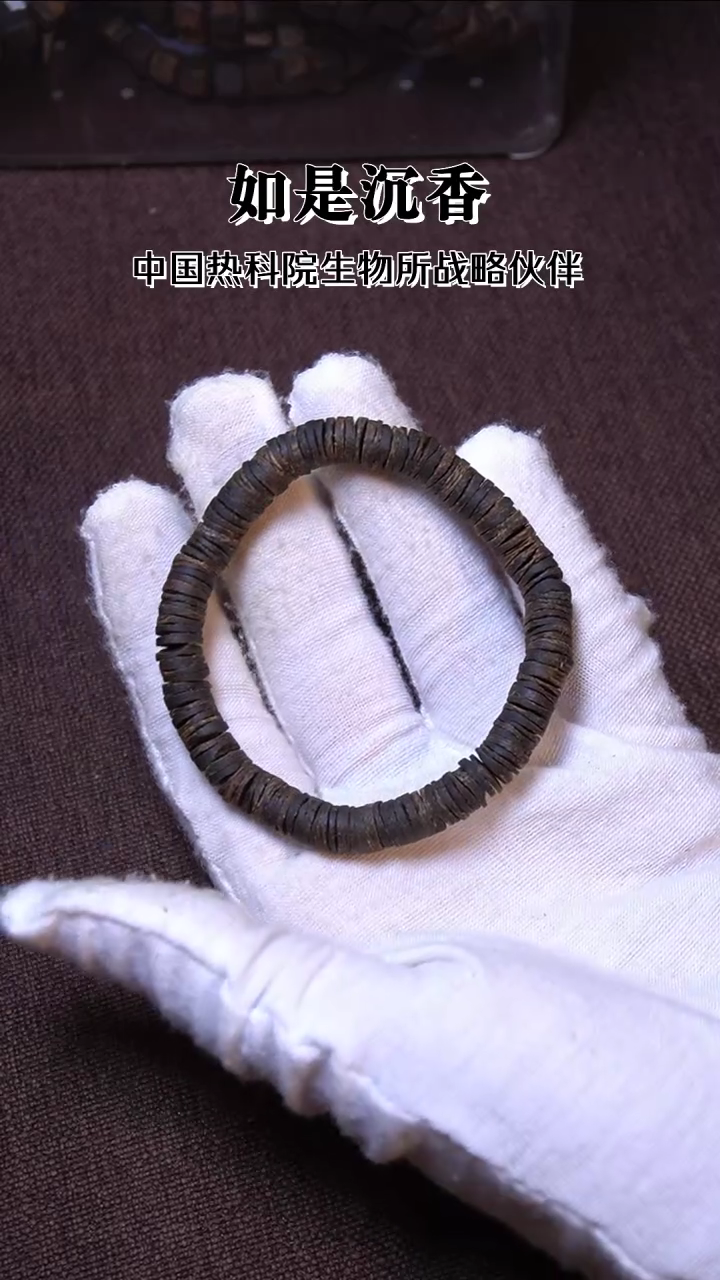 手串沉香沉水6mm药片单圈 6g