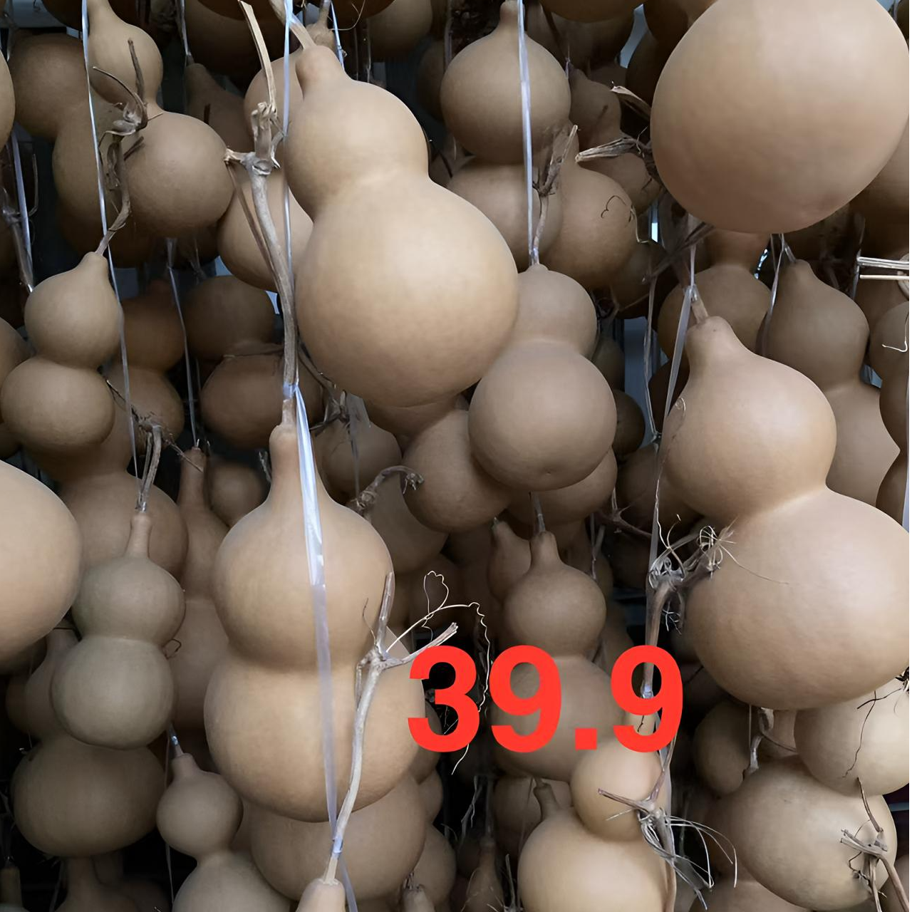 葫芦种植户一物一拍