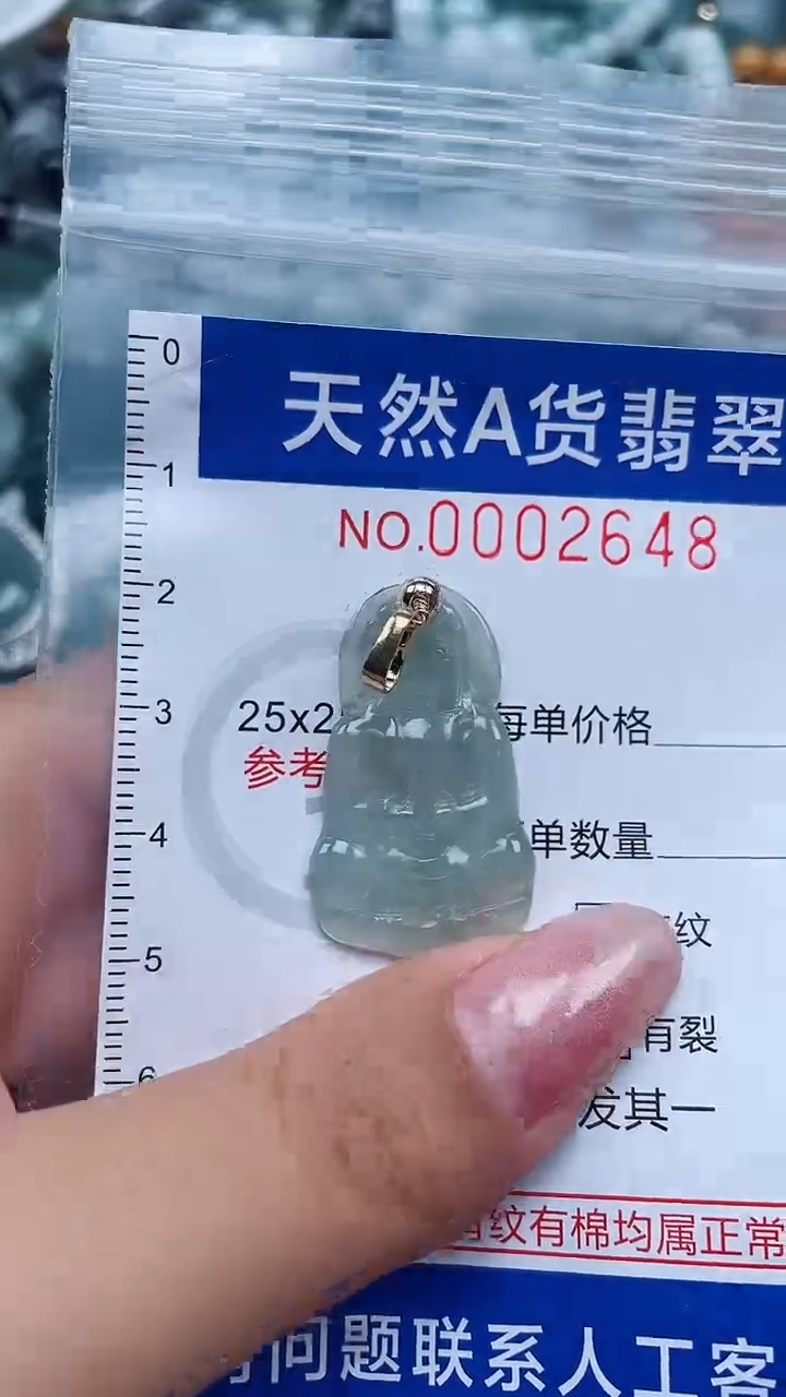 翡翠未镶嵌吊坠(不含链)                 