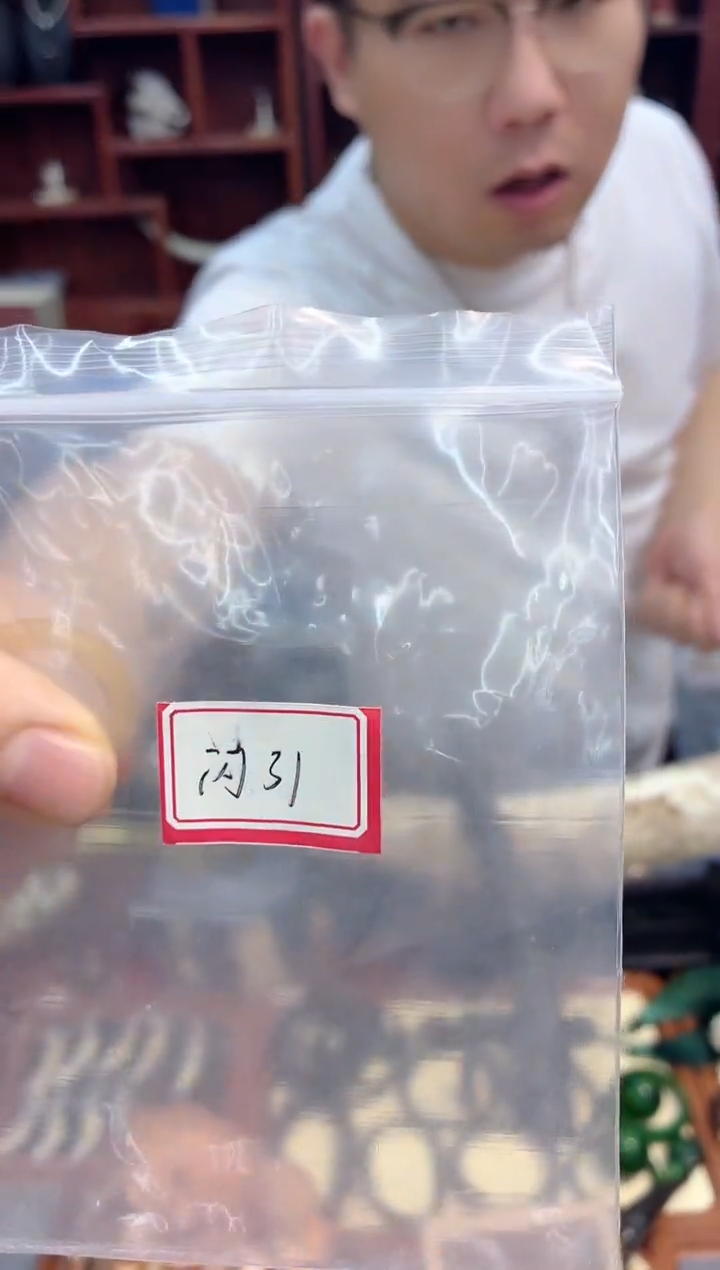 猛犸猛犸++++++31