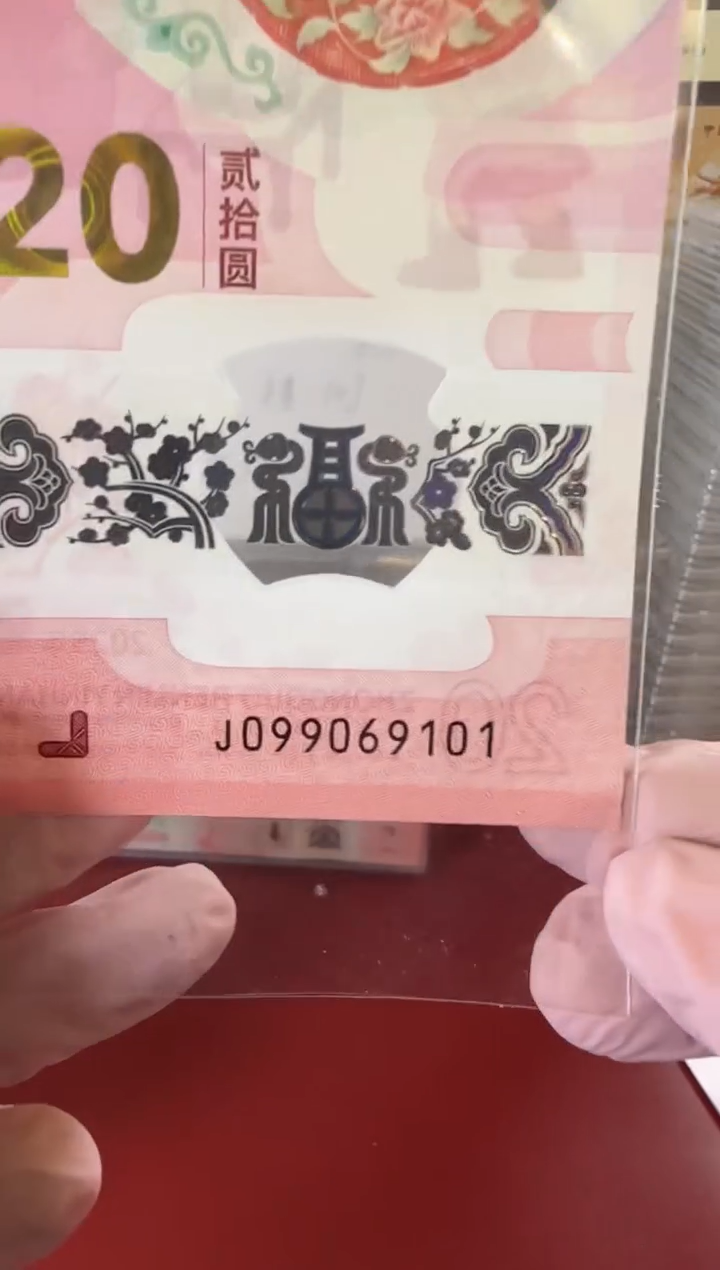 【闪购商品】塑料25蛇钞099069101单张裸