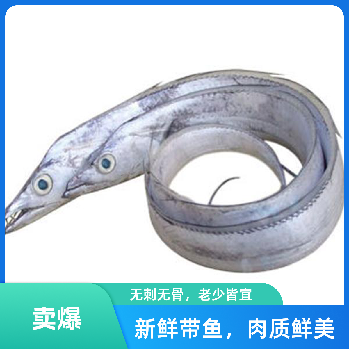 冻带鱼海钓带鱼