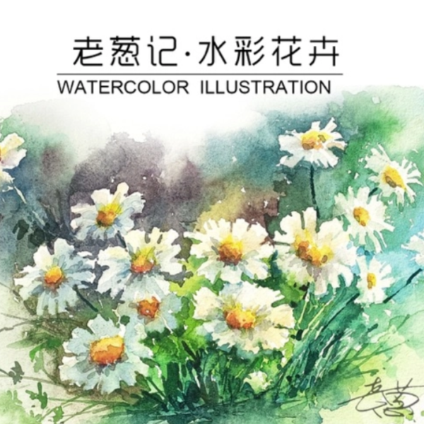 老葱水彩缤纷系列花卉——线上直播回放视频课（留意短信解锁课程